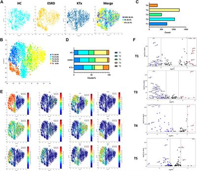 Single-Cell Transcriptomic Analysis of Peripheral Blood Reveals a Novel B-Cell Subset in Renal Allograft Recipients With Accommodation